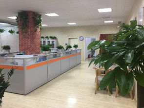 图 100元起代理记账,一块钱注册公司,全市连锁 天津会计审计
