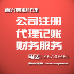 提供嘉兴 专业的财务会计服务代理记账服务